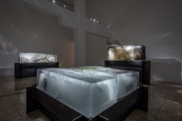 Theo-Mass Lexileictous | Ice Age, installation view
